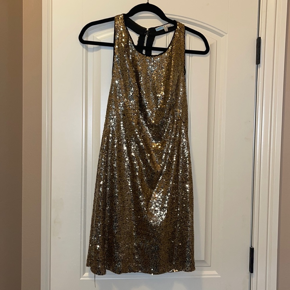 gold sequin dress